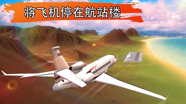 闲置机场大亨