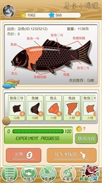 养条小锦鲤