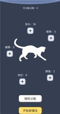猫咪的一生