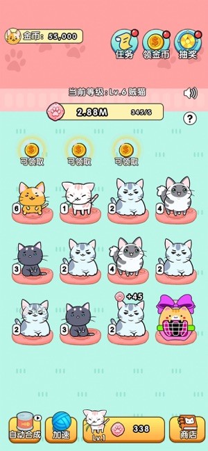 我的小猫
