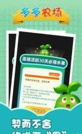 多多农场