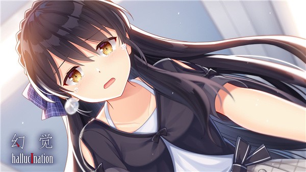幻觉hallucination