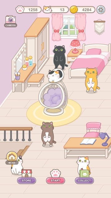 猫奴数织游戏