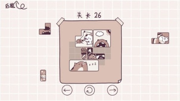 竟然有猫