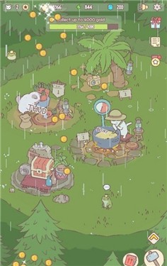 cats soup