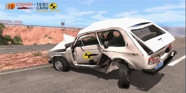 特技汽车