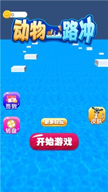 动物一路冲