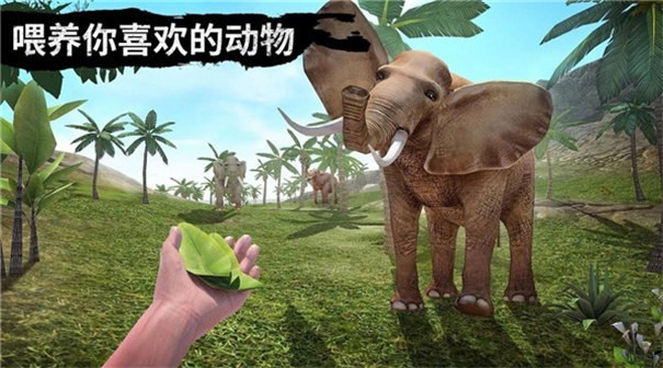 荒野流浪