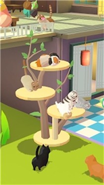 我要猫咪之鬼怪管家