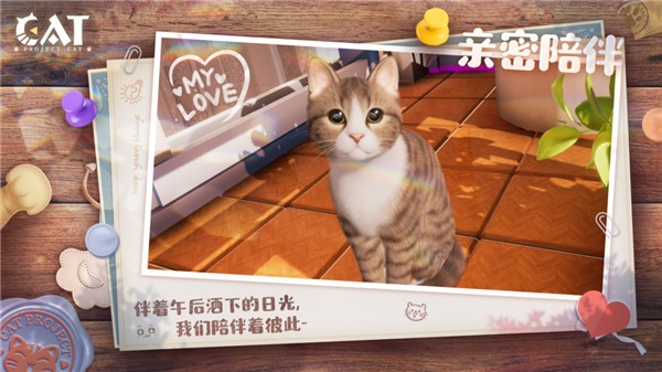 Project Cat