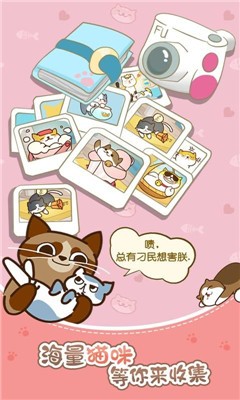 猫咪小家