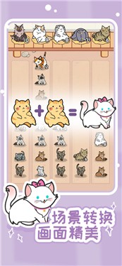解压猫咪遇见你的猫咪公寓