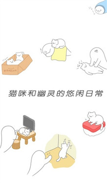 猫咪很可爱原版