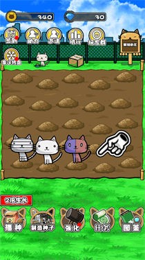 猫咪田田