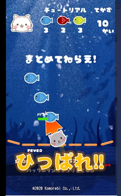 猫咪来袭