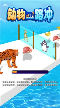 动物一路冲
