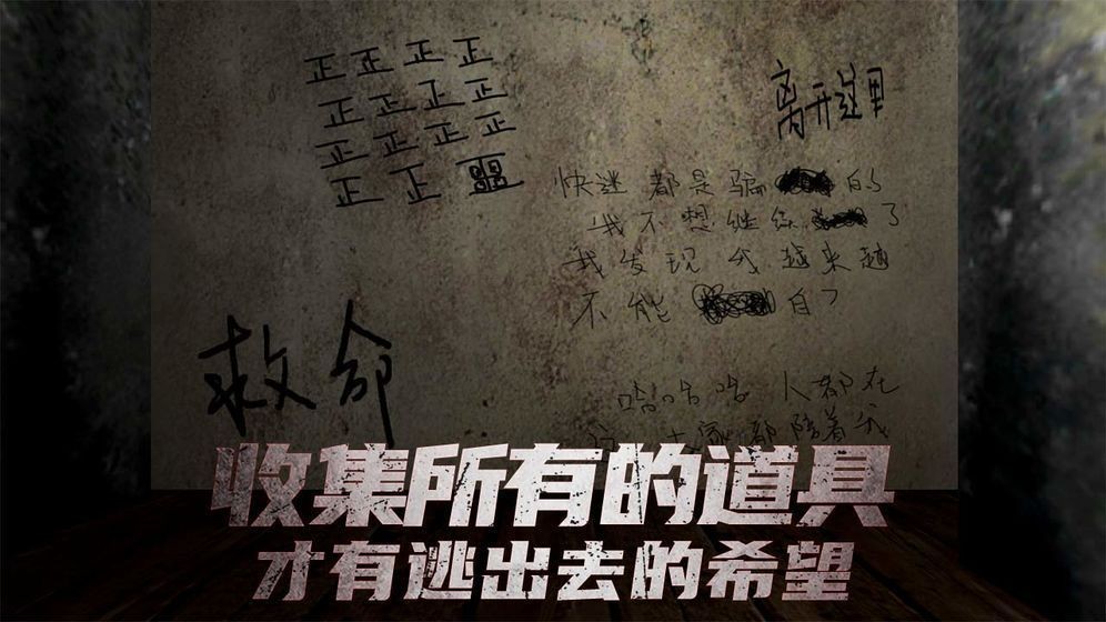 南极洲88
