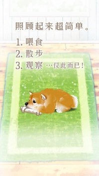 养育柴犬的治愈游戏ios版