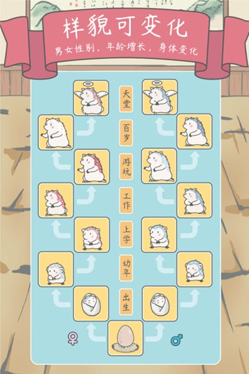 宠我一生官方版