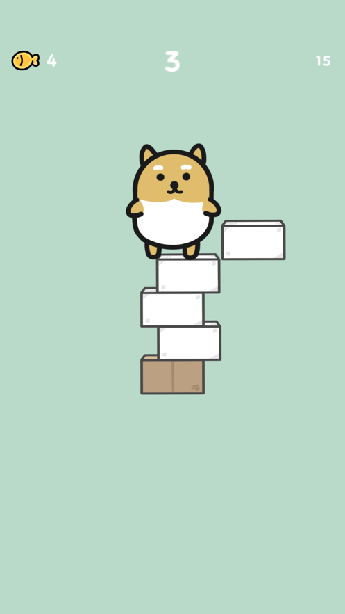 抖音砰砰猫