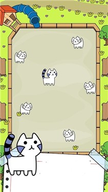 猫咪进化疯狂合并