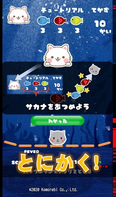 猫咪来袭