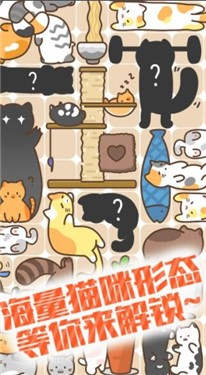 有猫饼