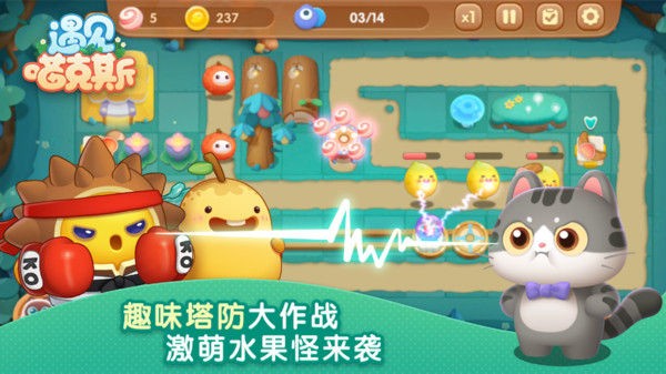 遇见喵克斯