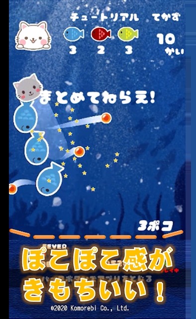 猫咪来袭