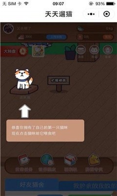 天天遛猫