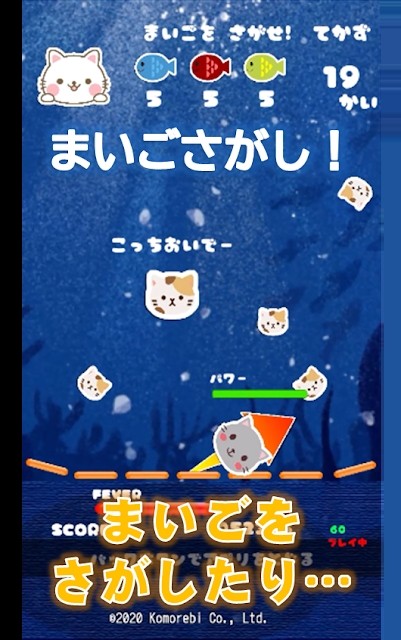 猫咪来袭