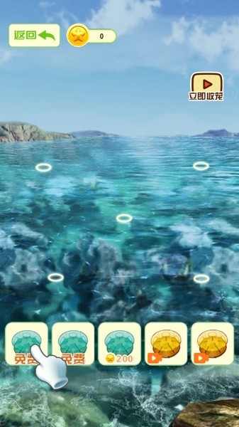 赶海寻宝