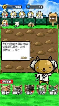 猫咪田田