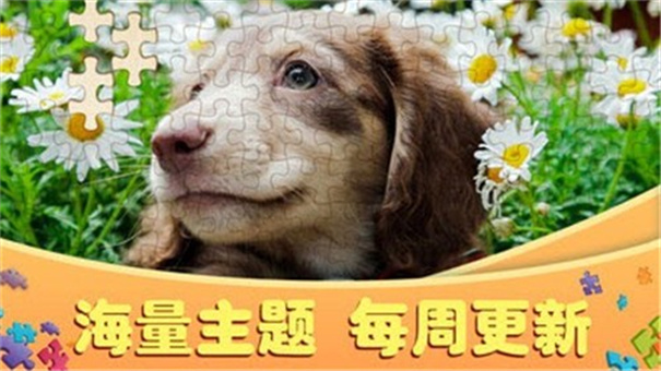 阿超拼拼图