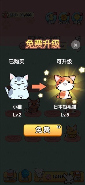 我的小猫