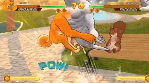 柴犬格斗