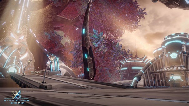 时间秩序测试服