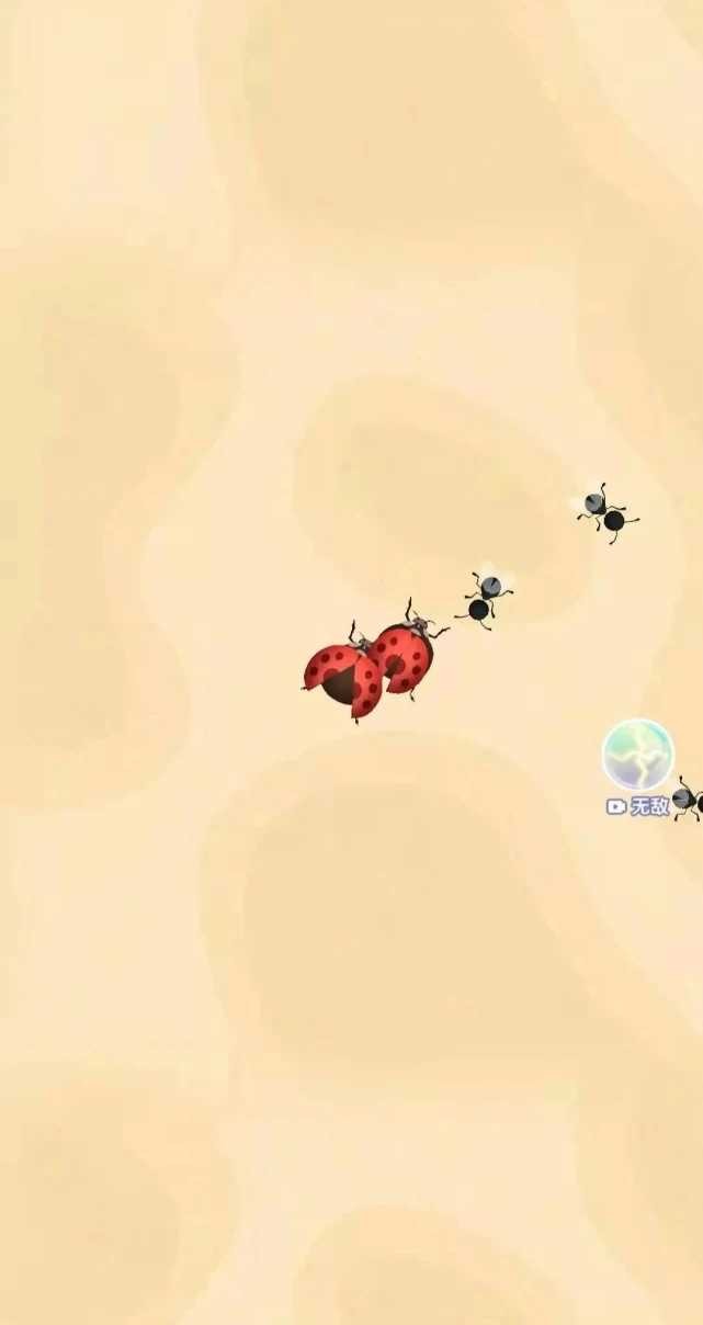 召唤神凤网页版