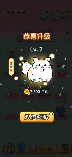 我的小猫