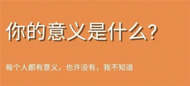 你的意义是什么测试