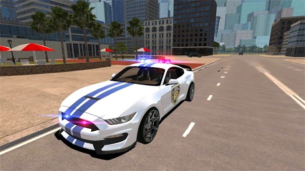 野马警车驾驶