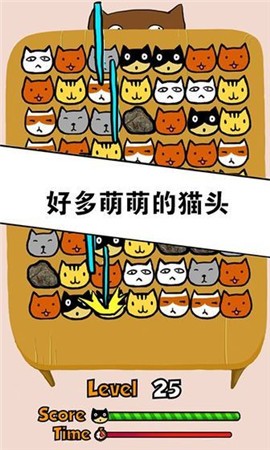 萌猫变变变