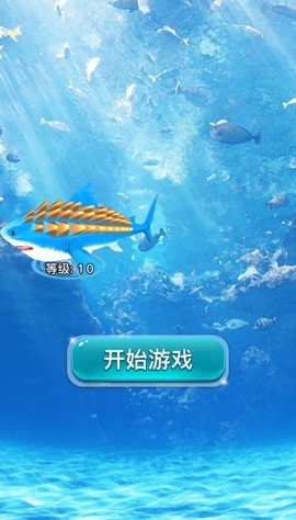 鲨鱼升级大作战