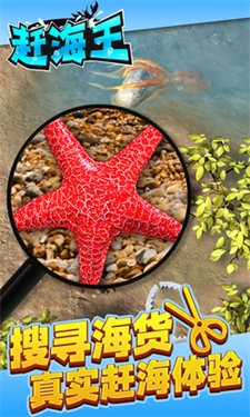 赶海王安卓版