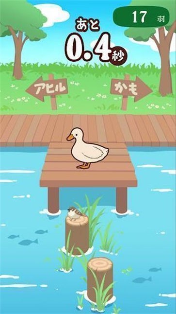 家鸭或野鸭
