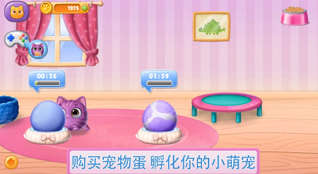 梦幻宠物沙龙