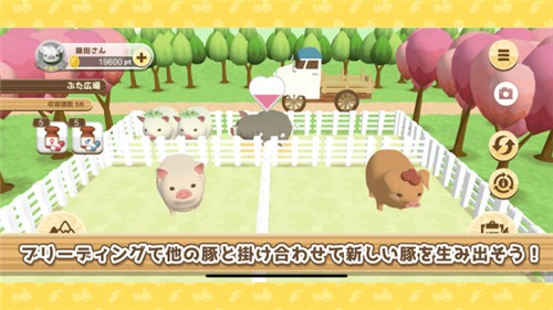 养猪场3D手游