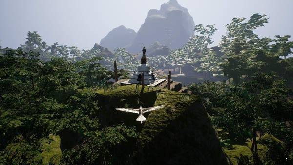 飞行