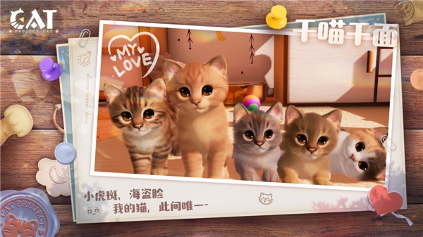 Project Cat