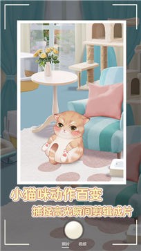 阿橘要出圈